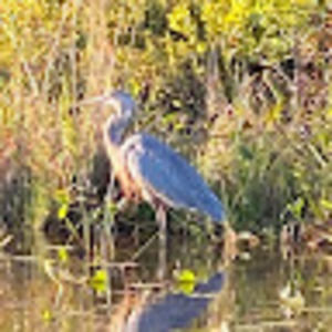 Meet your Posher, Sally